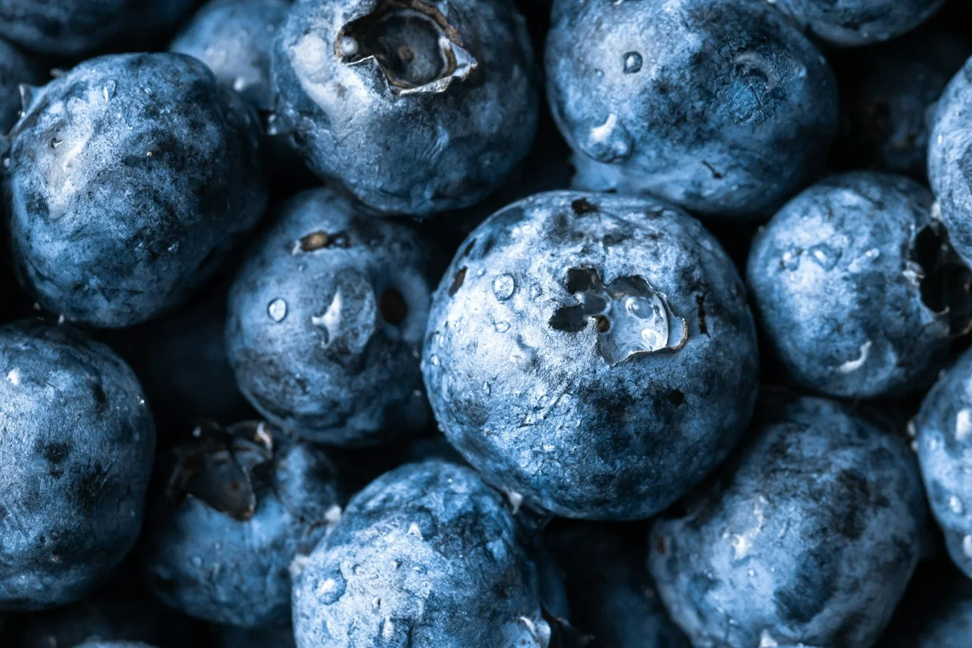 Fresh blueberries with droplets on their skins.